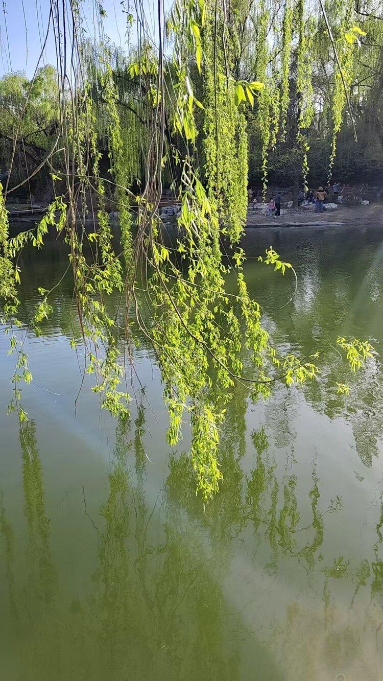 🇨🇳 光辉岁月