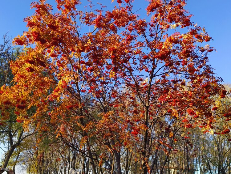 雪儿🎤V娱热点
