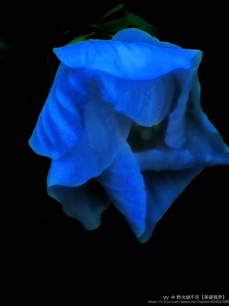 野火烧不尽【美摄视界】