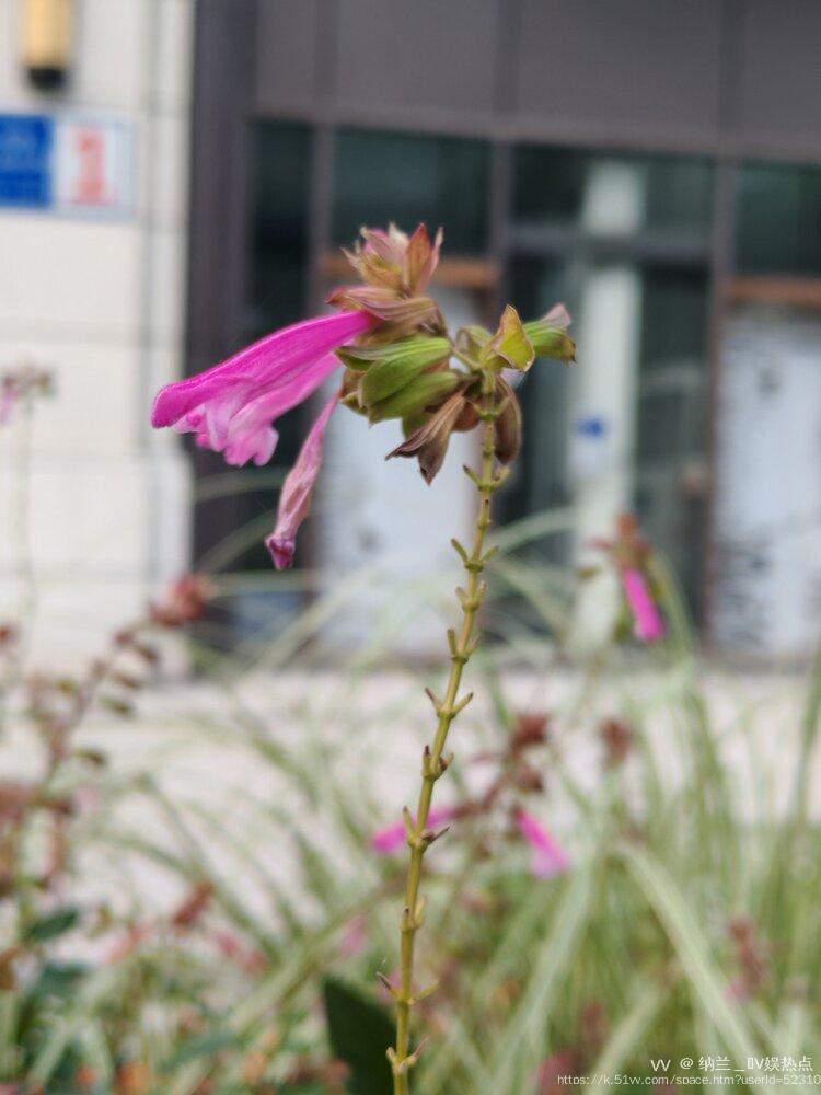 纳兰＿🎤V娱热点