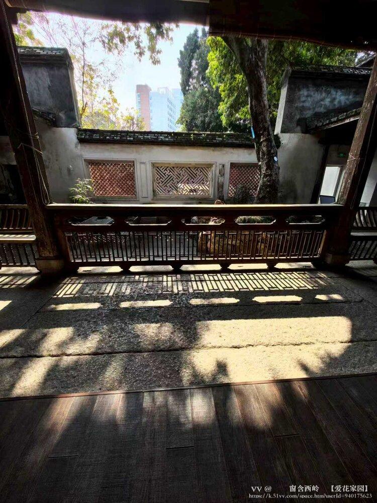 ꕥ᭄窗含西岭ꦿ【爱花家园】