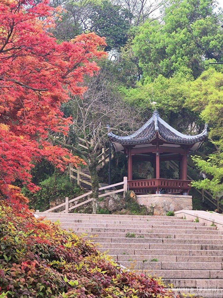 甌越耕耘者【爱花家园】