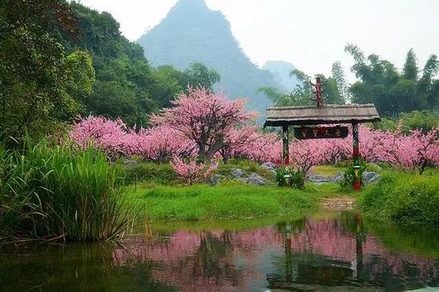 默闻