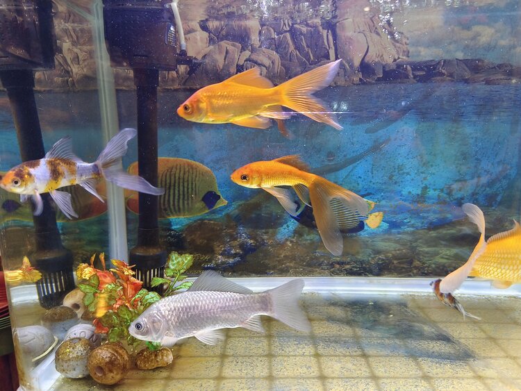 雪儿🎤V娱热点