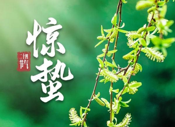 银川市诗词学会