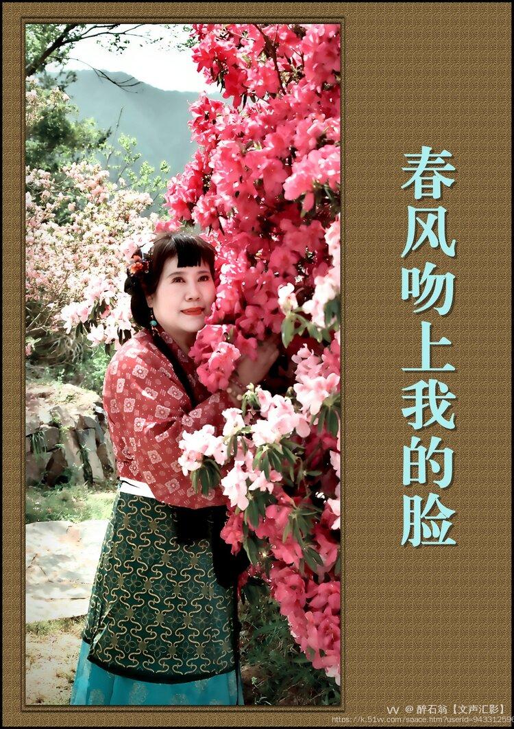 醉石翁【文声汇影】