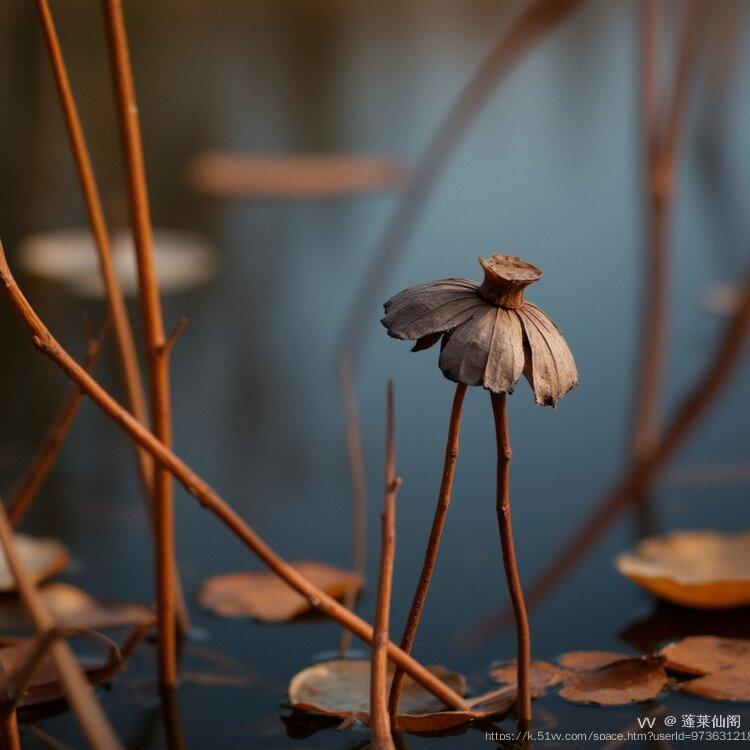 蓬莱仙阁