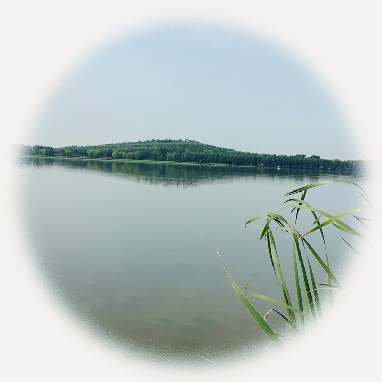 青士李振汉