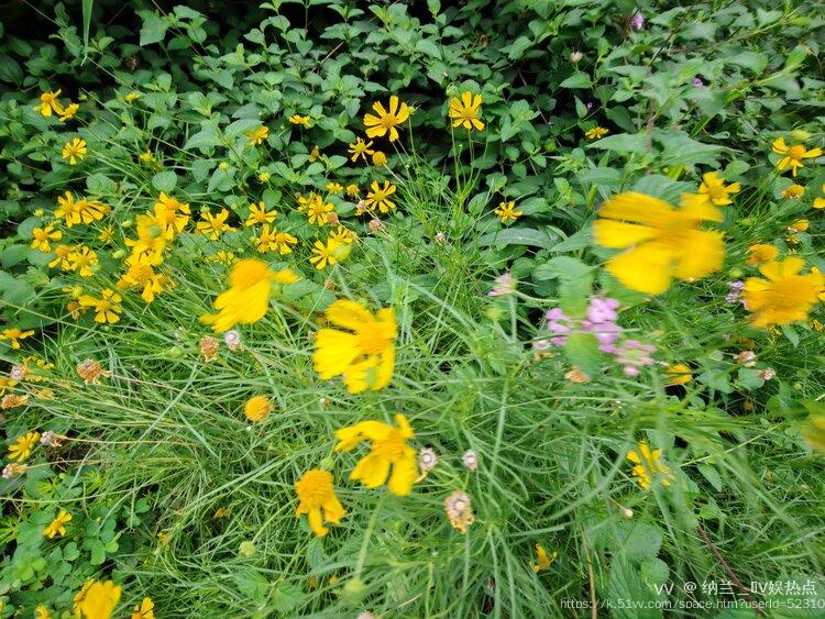 纳兰＿🎤V娱热点