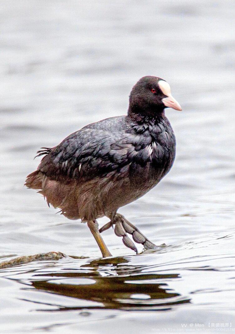 Man 【美摄视界】