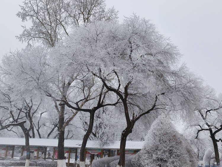雪儿🎤V娱热点
