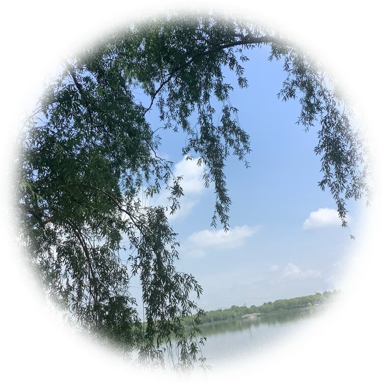 青士李振汉