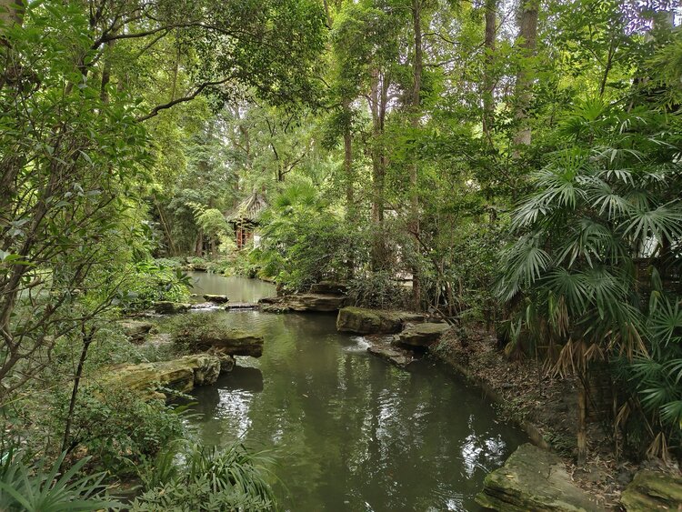 雪儿🎤V娱热点