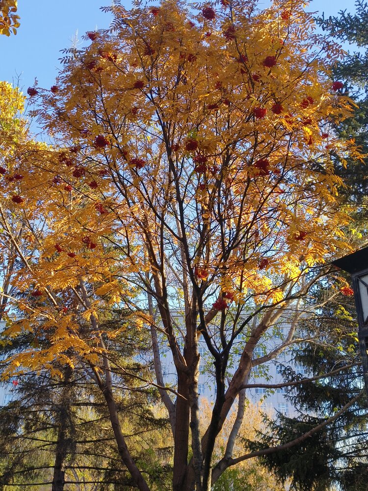 雪儿🎤V娱热点