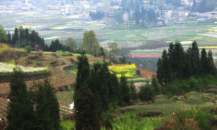 红叶在山那边【西窗剪烛】