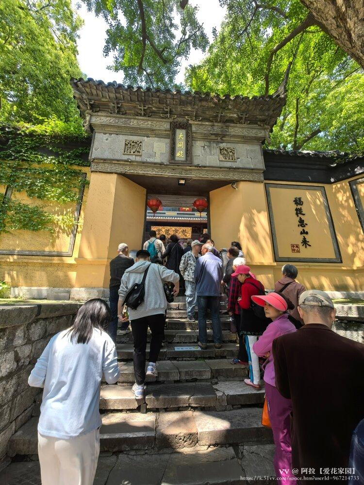 阿拉【爱花家园】