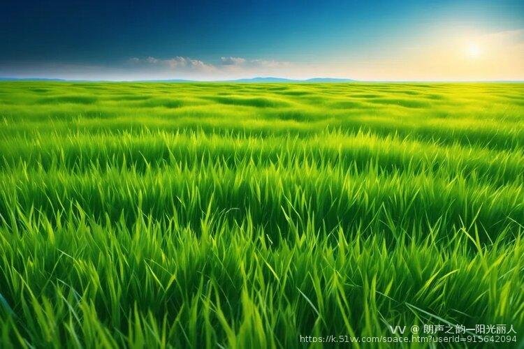 朗声之韵—阳光丽人