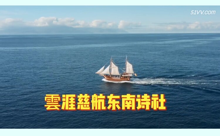 夏日清荷