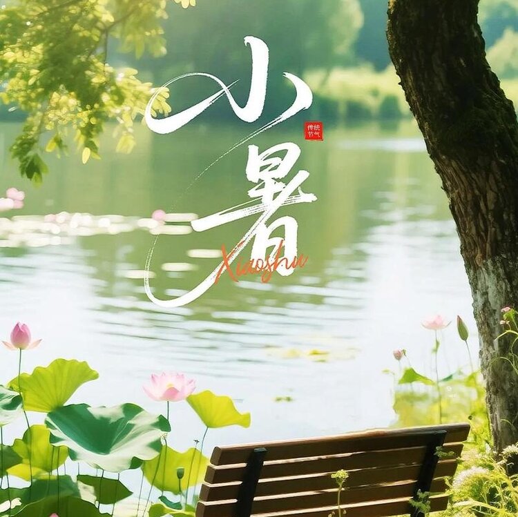 飘