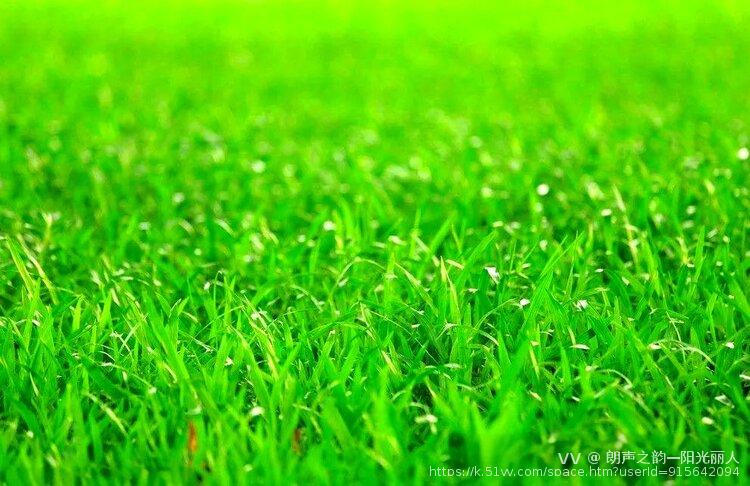 朗声之韵—阳光丽人