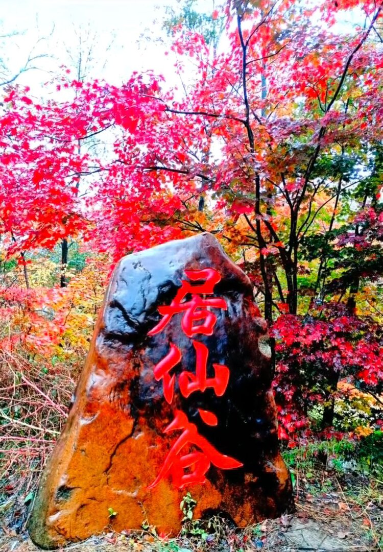 雪儿🎤V娱热点