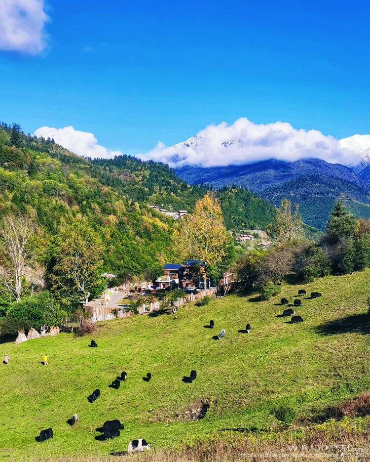 ✎ℳ❦̯⁵²⁰芳心₁₃₁₄̯