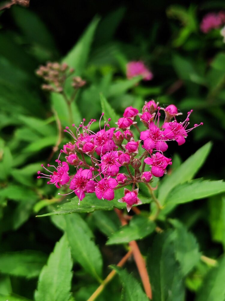 ྅爱ོℒฺℴฺ自νℯฺ己ོ༉