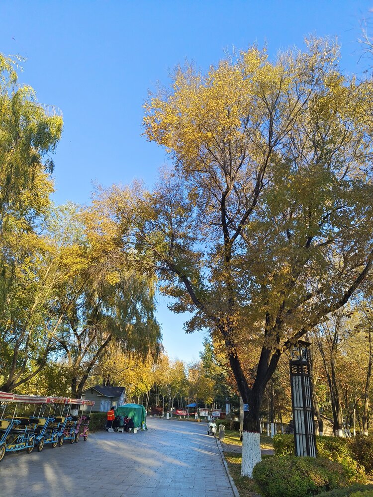 雪儿🎤V娱热点