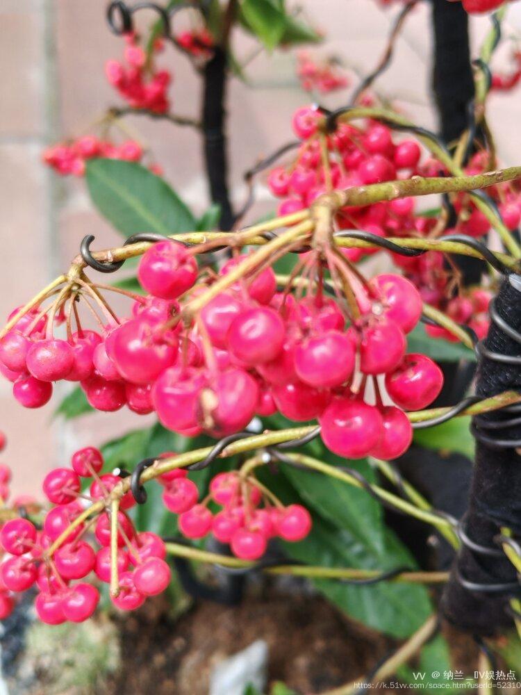 纳兰＿🎤V娱热点