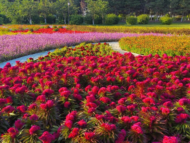 雪儿🎤V娱热点