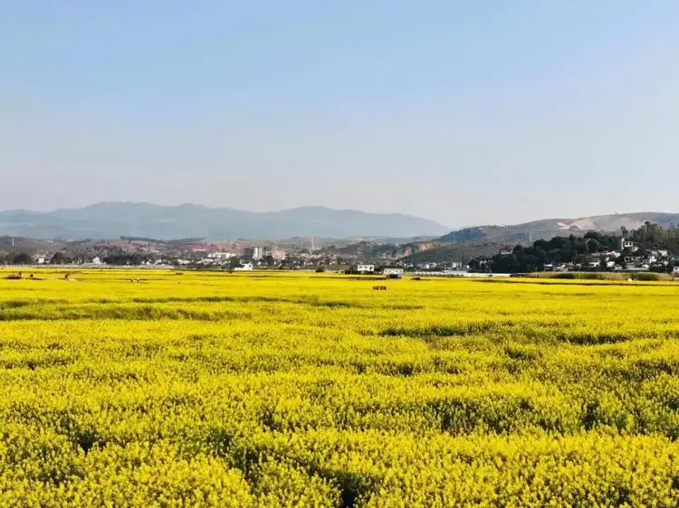 李连山