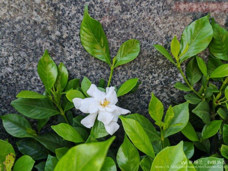 纳兰＿🎤V娱热点