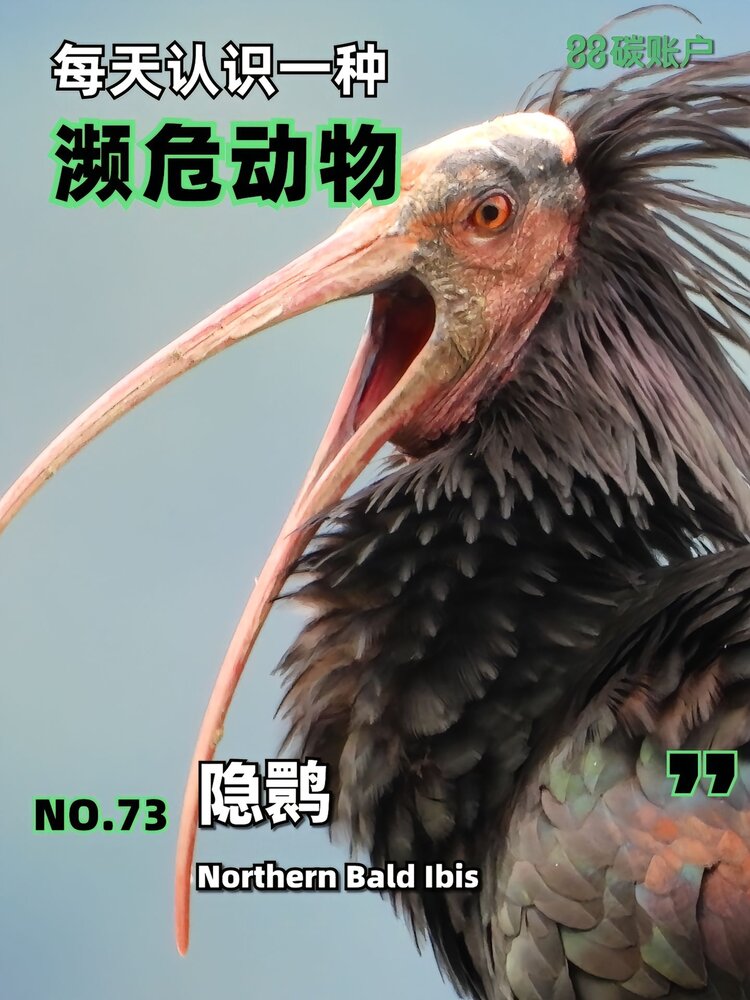 💫压馨韵💫随缘