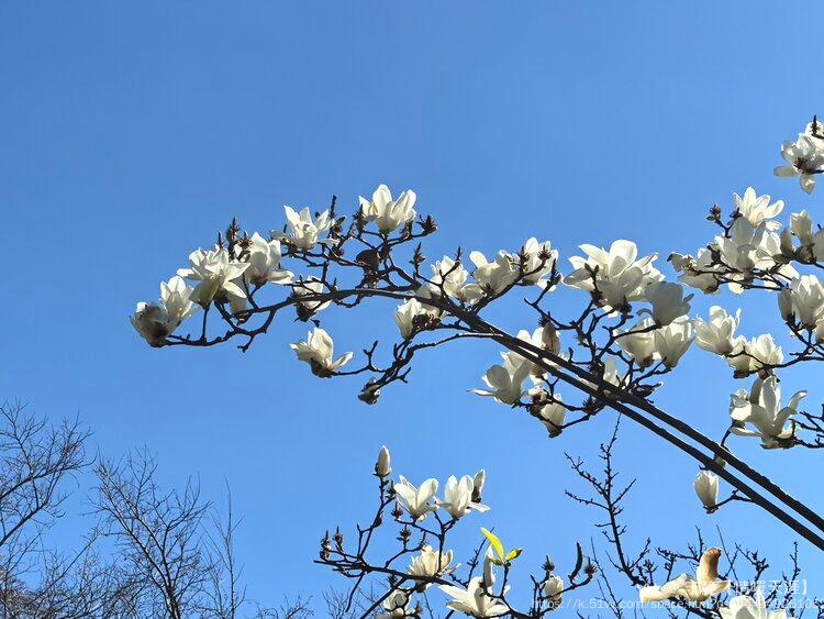 宁静【情暖天涯】