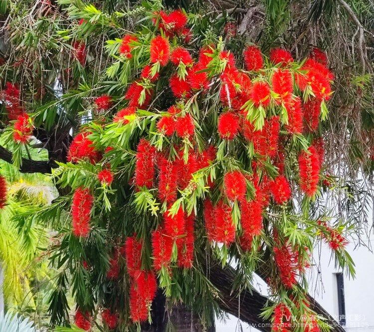 春风〔文声汇影〕