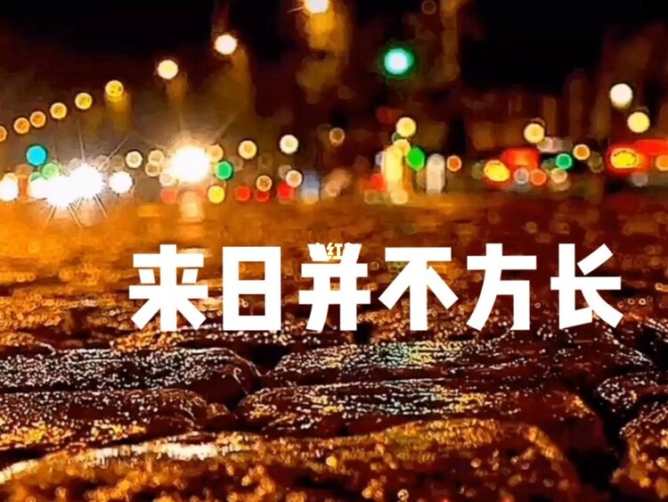 冬日艳阳