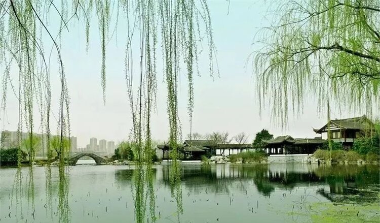 指尖花花