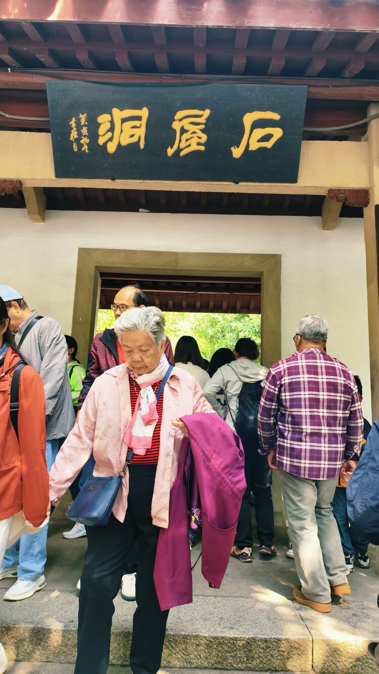 南风知意