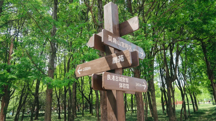 蓝雨🍁四五三七
