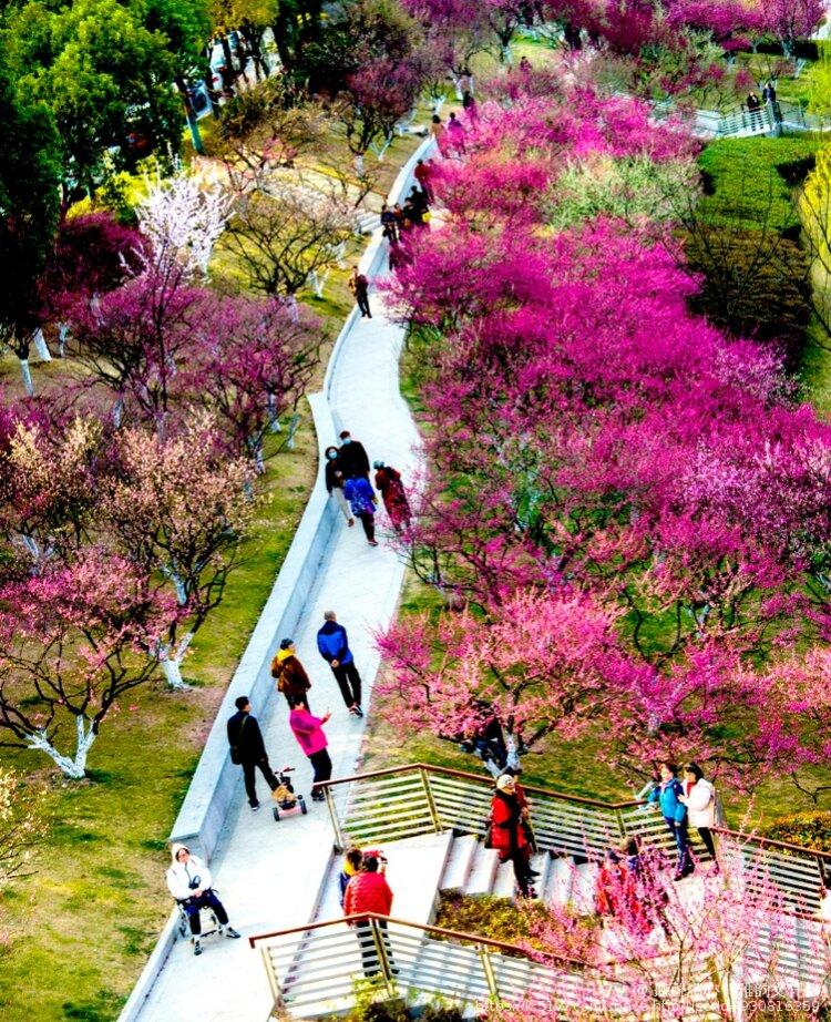 聽聲讀心【雅韵文轩】