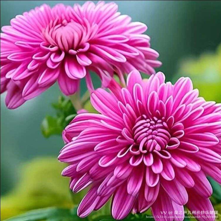 秦之声九州社快乐健康