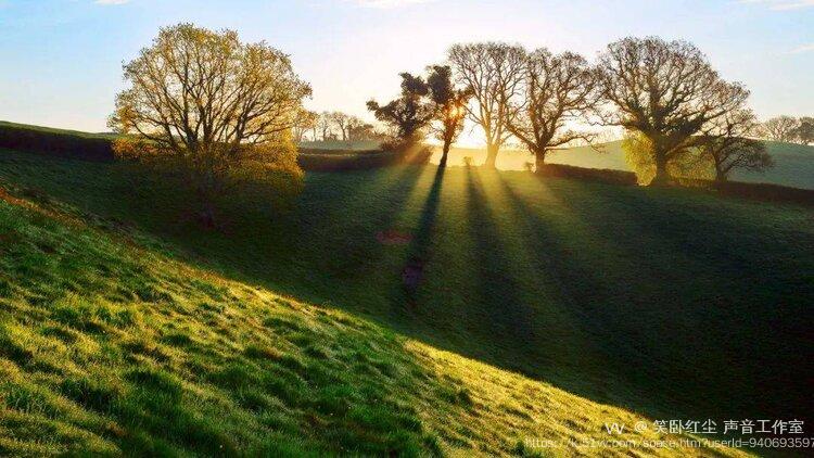 笑卧红尘 声音工作室