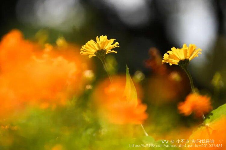 小不点✨别问我是谁   ‮♡‭