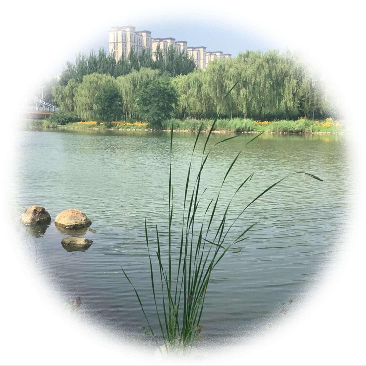青士李振汉