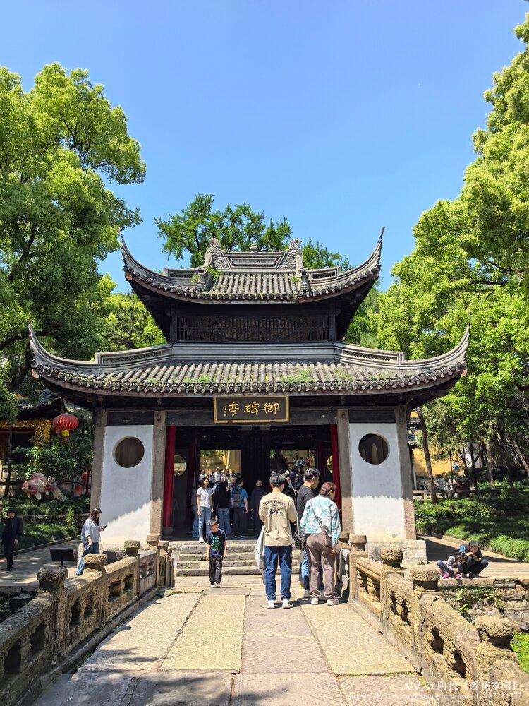 阿拉【爱花家园】
