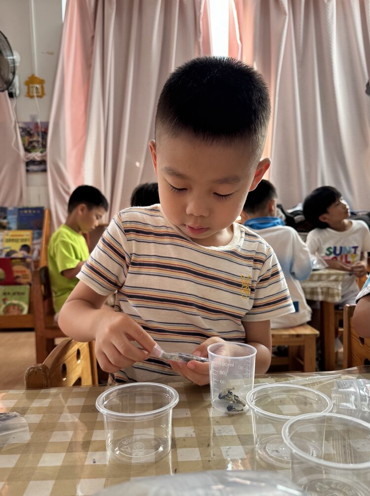 虎校人工智能教育