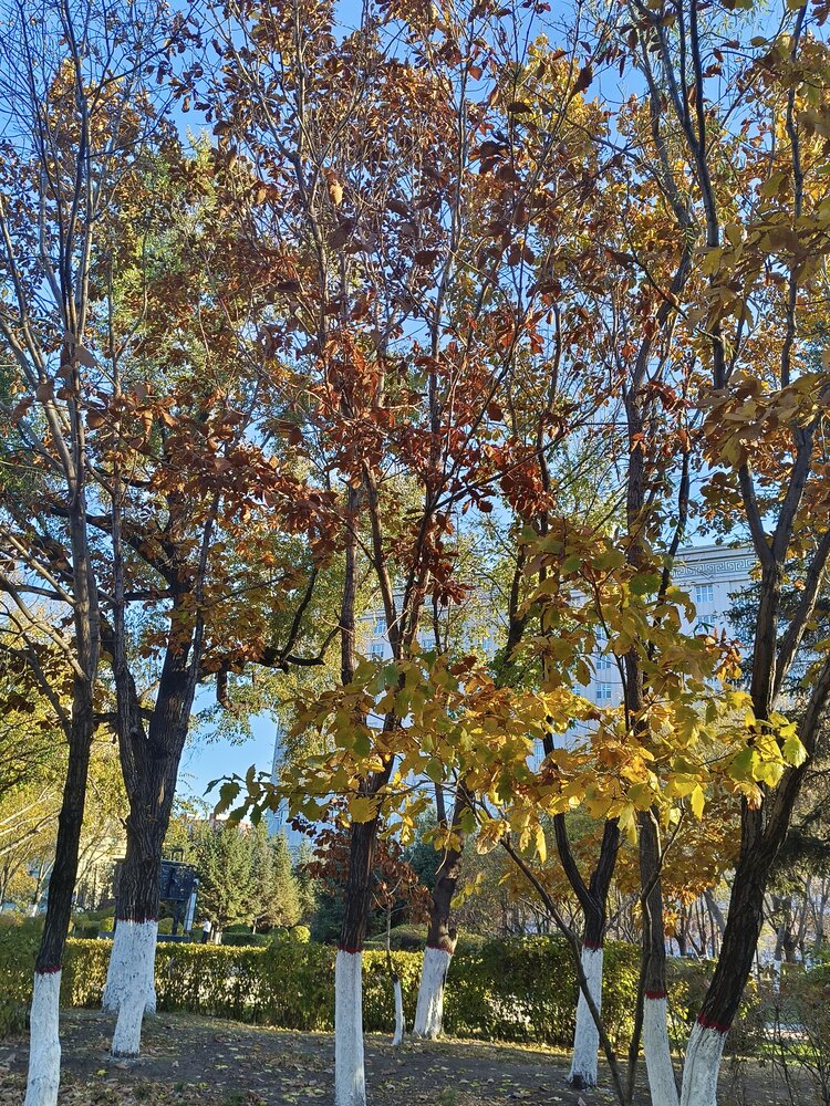 雪儿🎤V娱热点