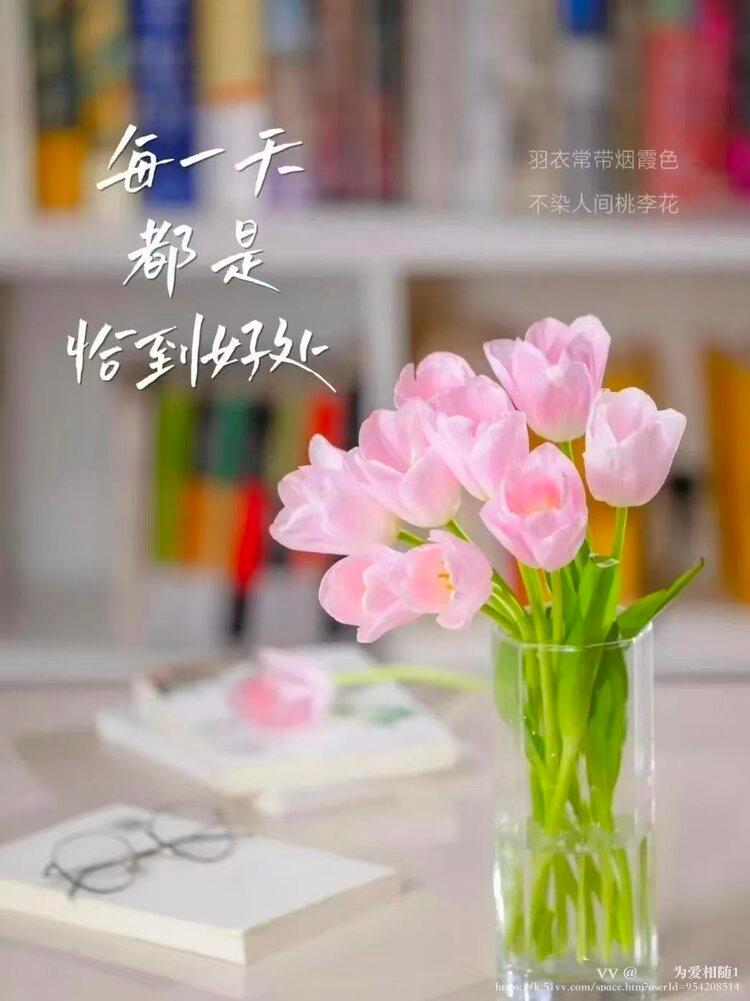 🌹🌹为爱相随1