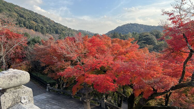 雪儿🎤V娱热点