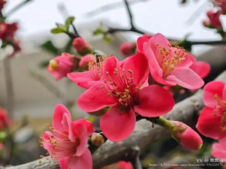 默默ai